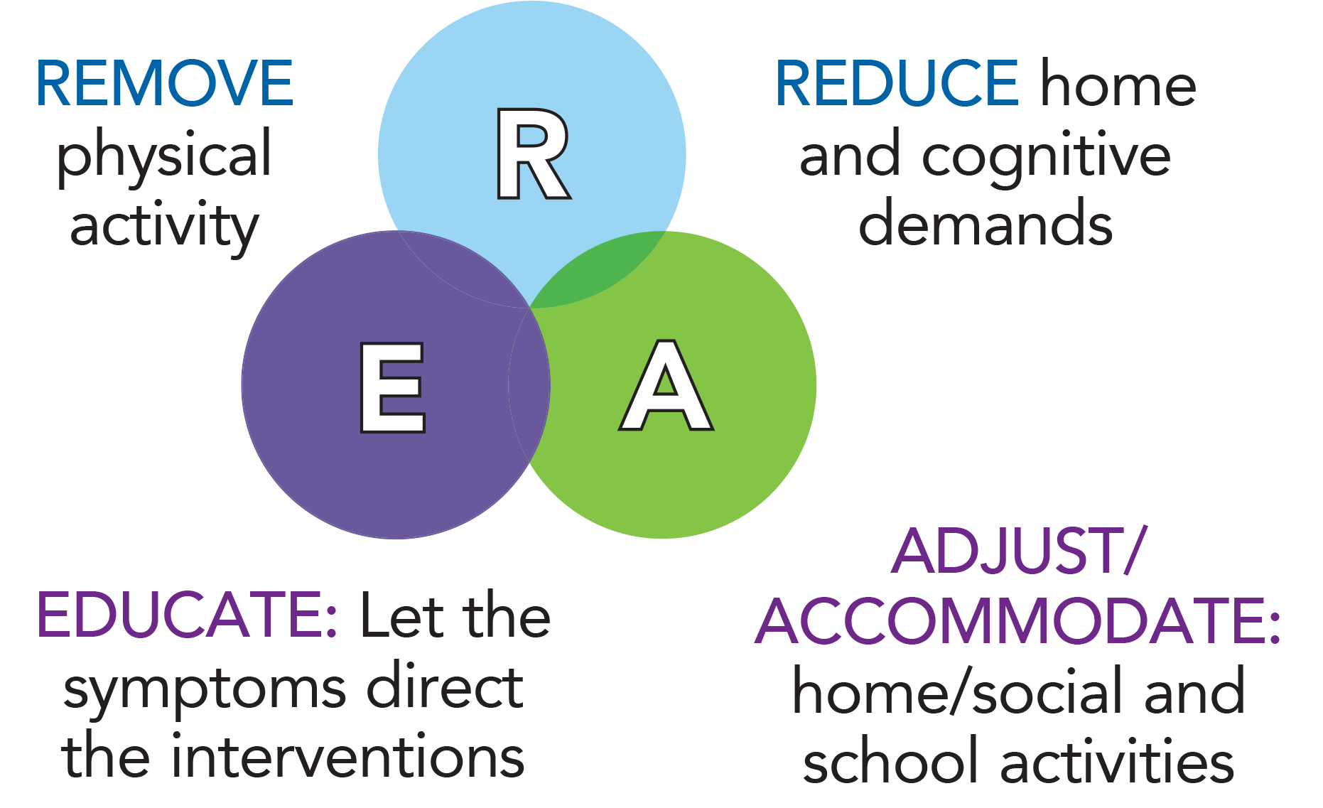 REA framework diagram with three overlapping circles