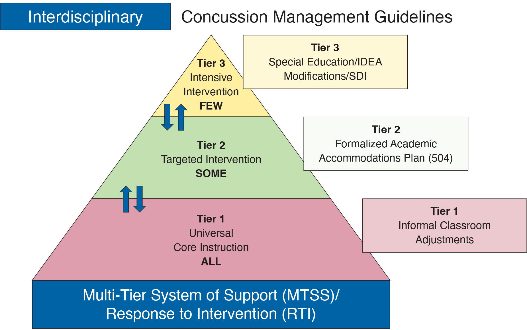 Illustration of Concussion Management Guidelines