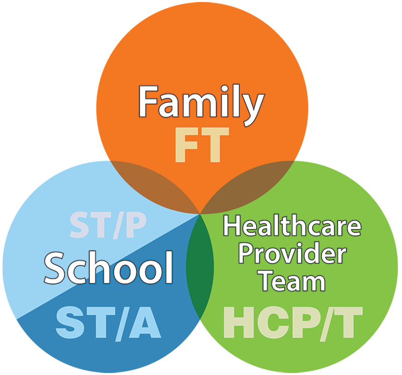 Venn diagram of Interdisciplinary Concussion Management Team